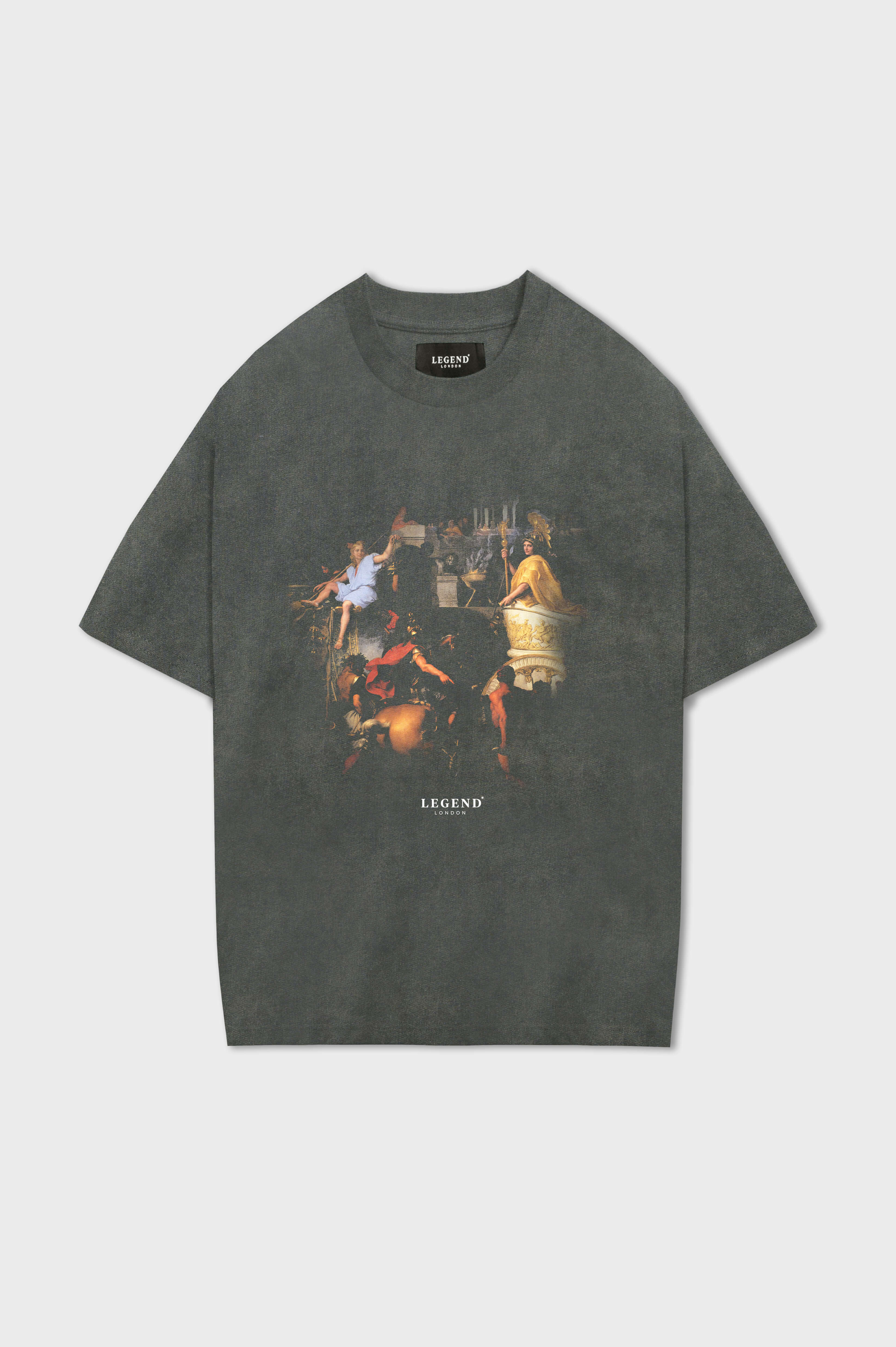 ADMIRED PRINT T-SHIRT - WASHED GREY - Image 3